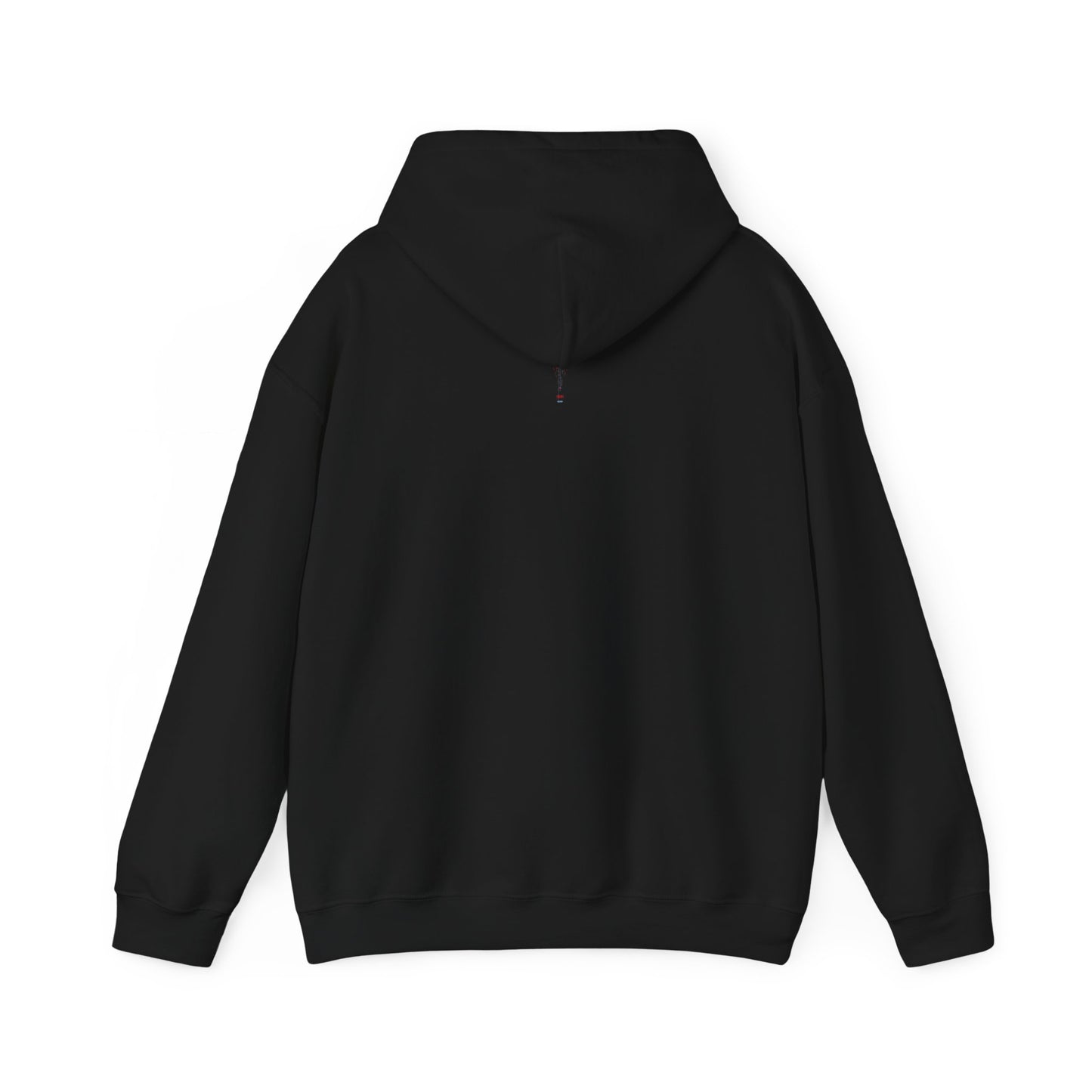 AlphaSix Sigil (Hooded Sweater)